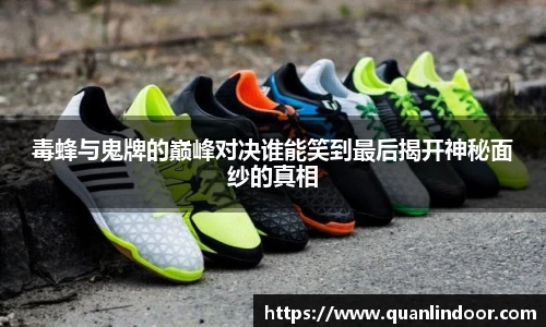 毒蜂与鬼牌的巅峰对决谁能笑到最后揭开神秘面纱的真相